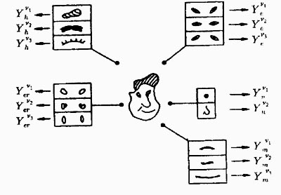 Shapiro-ER2.jpg (26171 bytes)