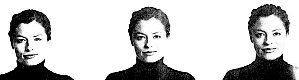 Shapiro-ER3.jpg (17042 bytes)