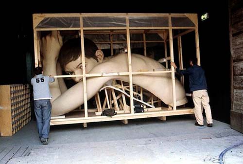 Рон Мьюик (Ron Mueck) - австралийский и британский скульптор.