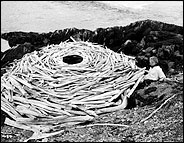"Rivers and Tides: Andy Goldsworthy Working With Time"
